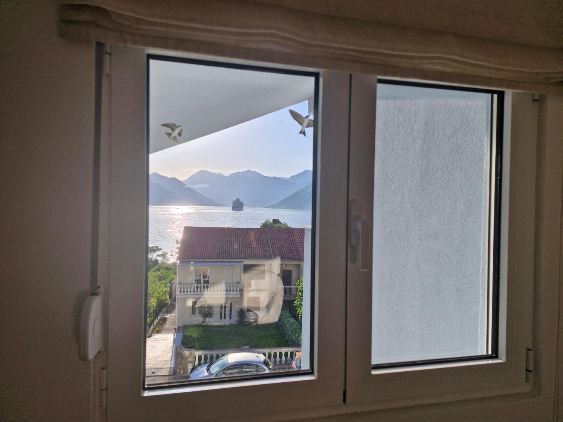 Luxury Apartment Vasilisa コトル エクステリア 写真